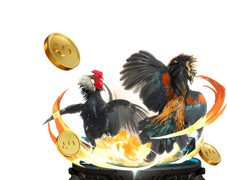 Hoàn trả nạp lại hàng ngày NEW88